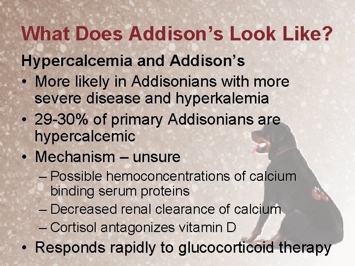 What Does Addison’s Look Like? Hypercalcemia and Addison’s • More likely in Addisonians with