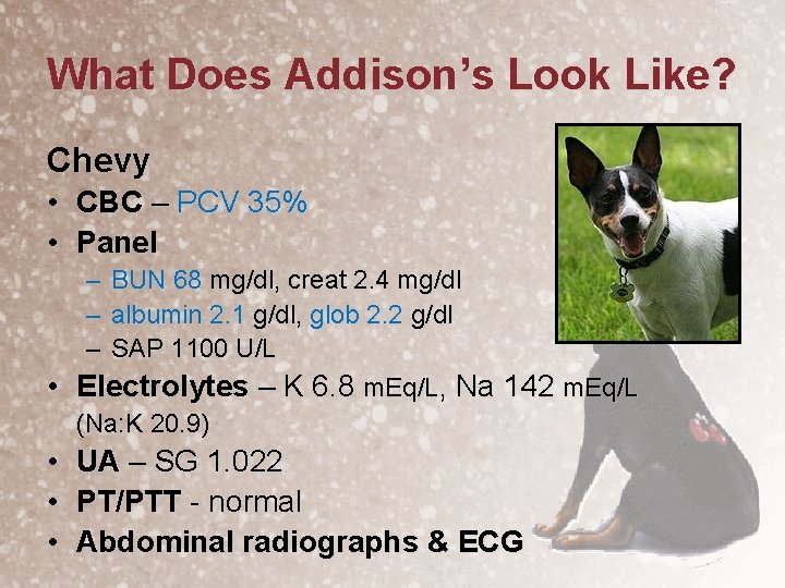 What Does Addison’s Look Like? Chevy • CBC – PCV 35% • Panel –