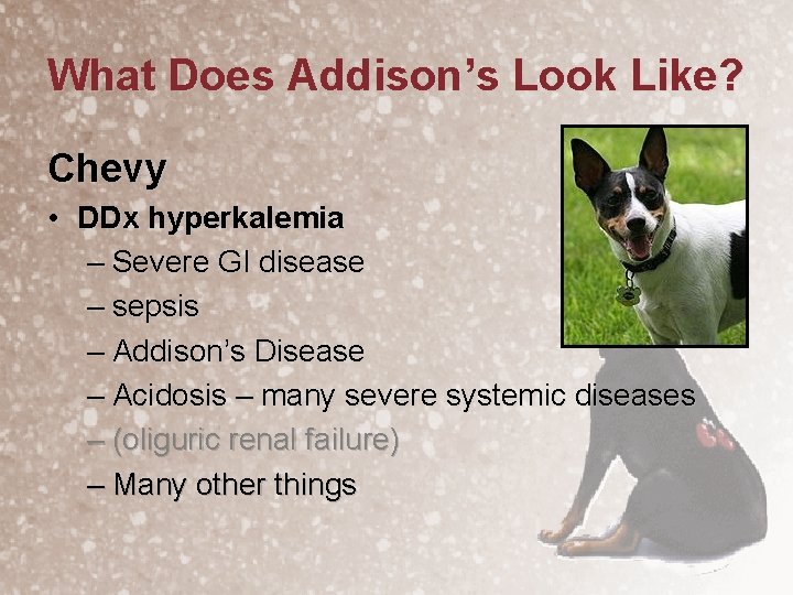 What Does Addison’s Look Like? Chevy • DDx hyperkalemia – Severe GI disease –