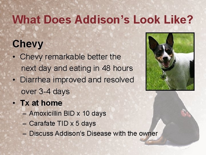 What Does Addison’s Look Like? Chevy • Chevy remarkable better the next day and