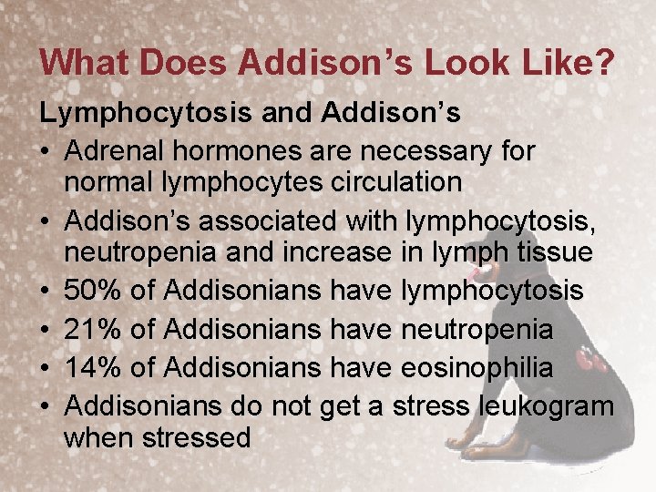 What Does Addison’s Look Like? Lymphocytosis and Addison’s • Adrenal hormones are necessary for