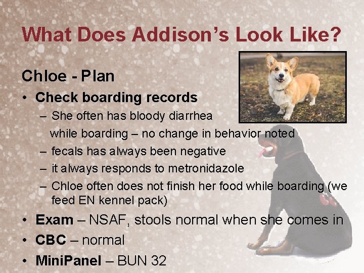 What Does Addison’s Look Like? Chloe - Plan • Check boarding records – She