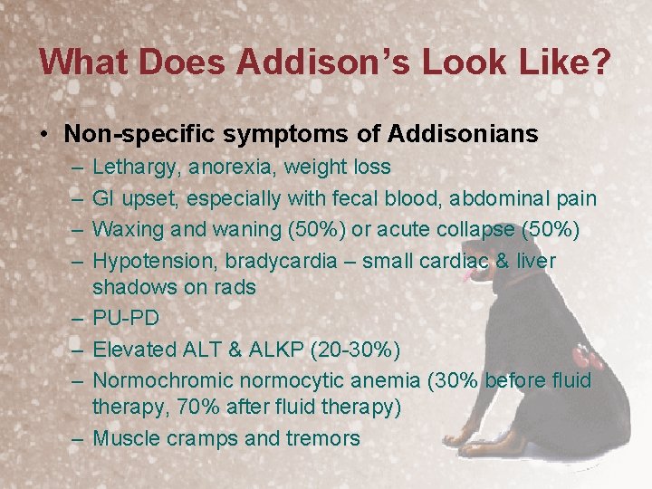 What Does Addison’s Look Like? • Non-specific symptoms of Addisonians – – – –