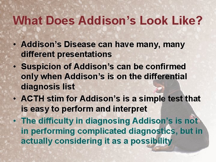 What Does Addison’s Look Like? • Addison’s Disease can have many, many different presentations