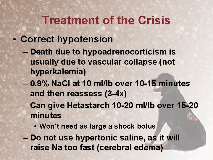 Treatment of the Crisis • Correct hypotension – Death due to hypoadrenocorticism is usually