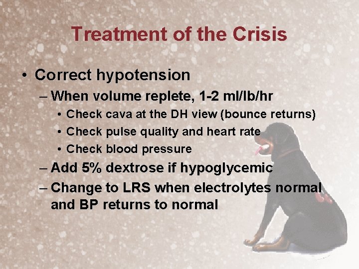 Treatment of the Crisis • Correct hypotension – When volume replete, 1 -2 ml/lb/hr