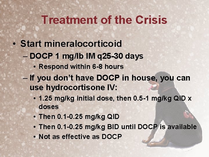 Treatment of the Crisis • Start mineralocorticoid – DOCP 1 mg/lb IM q 25