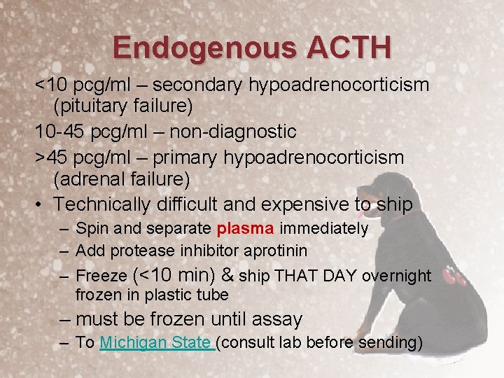 Endogenous ACTH <10 pcg/ml – secondary hypoadrenocorticism (pituitary failure) 10 -45 pcg/ml – non-diagnostic