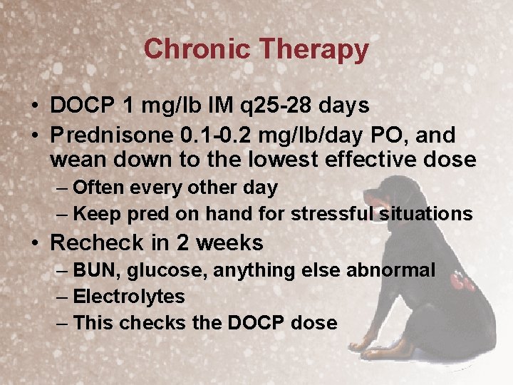 Chronic Therapy • DOCP 1 mg/lb IM q 25 -28 days • Prednisone 0.