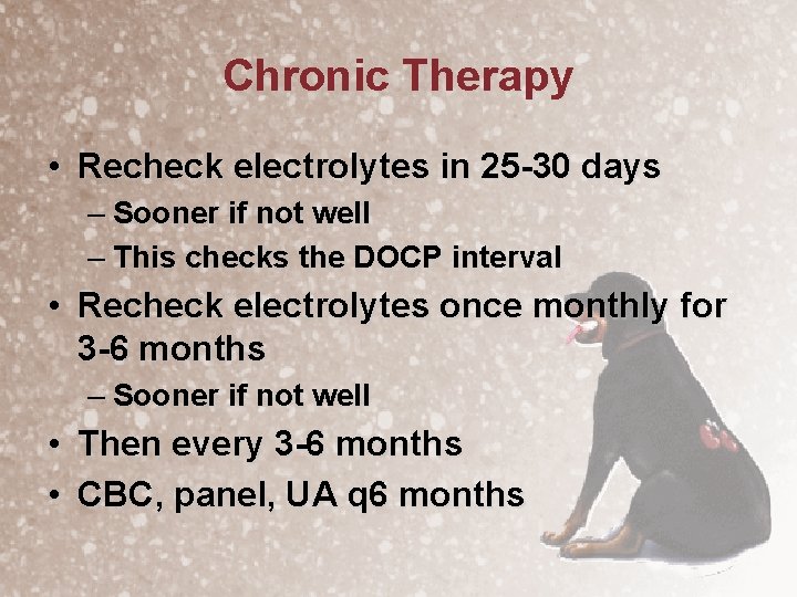 Chronic Therapy • Recheck electrolytes in 25 -30 days – Sooner if not well