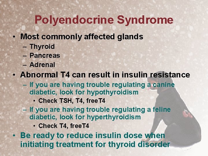 Polyendocrine Syndrome • Most commonly affected glands – – – Thyroid Pancreas Adrenal •