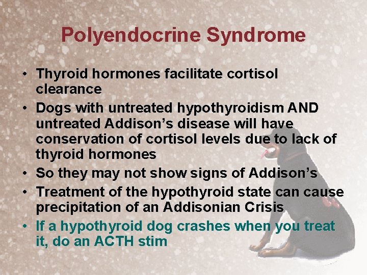 Polyendocrine Syndrome • Thyroid hormones facilitate cortisol clearance • Dogs with untreated hypothyroidism AND