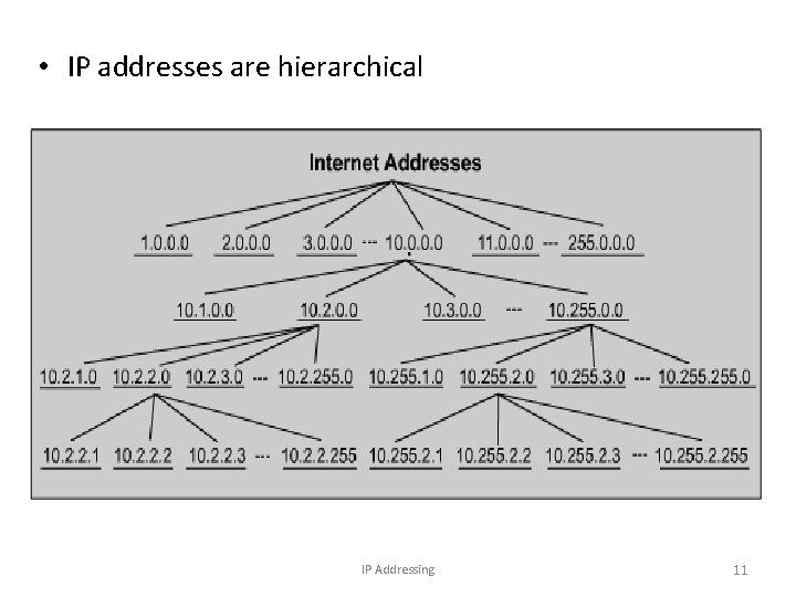  • IP addresses are hierarchical IP Addressing 11 