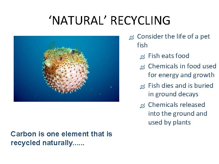 ‘NATURAL’ RECYCLING Carbon is one element that is recycled naturally. . . Consider the