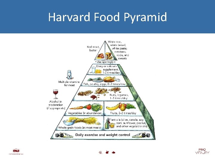 Harvard Food Pyramid 