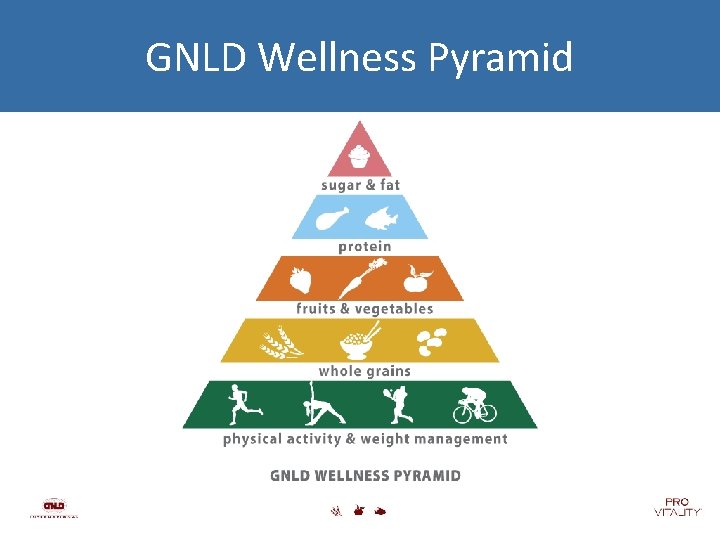 GNLD Wellness Pyramid 