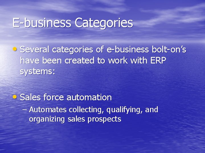 E-business Categories • Several categories of e-business bolt-on’s have been created to work with