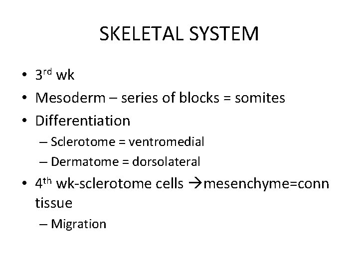 SKELETAL SYSTEM • 3 rd wk • Mesoderm – series of blocks = somites