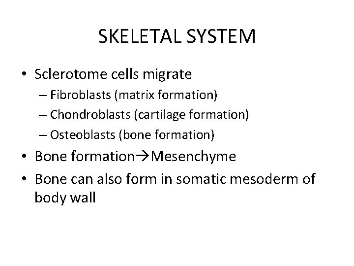 SKELETAL SYSTEM • Sclerotome cells migrate – Fibroblasts (matrix formation) – Chondroblasts (cartilage formation)