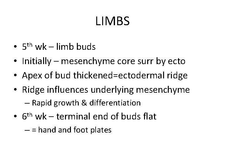 LIMBS • • 5 th wk – limb buds Initially – mesenchyme core surr