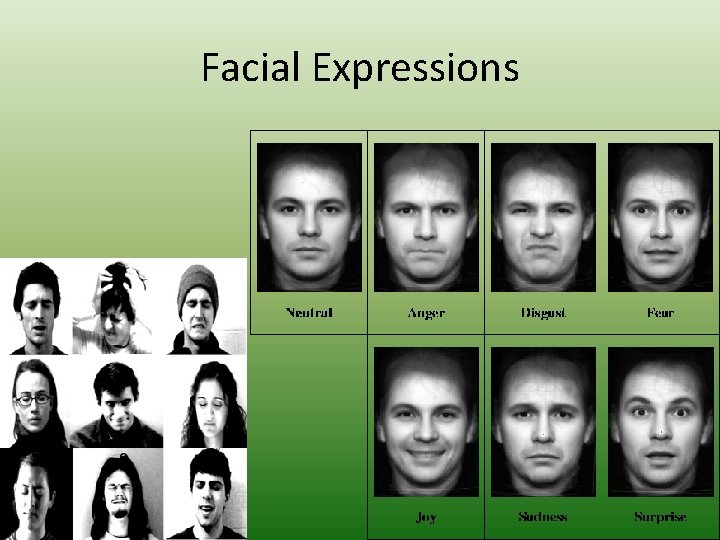 Facial Expressions 