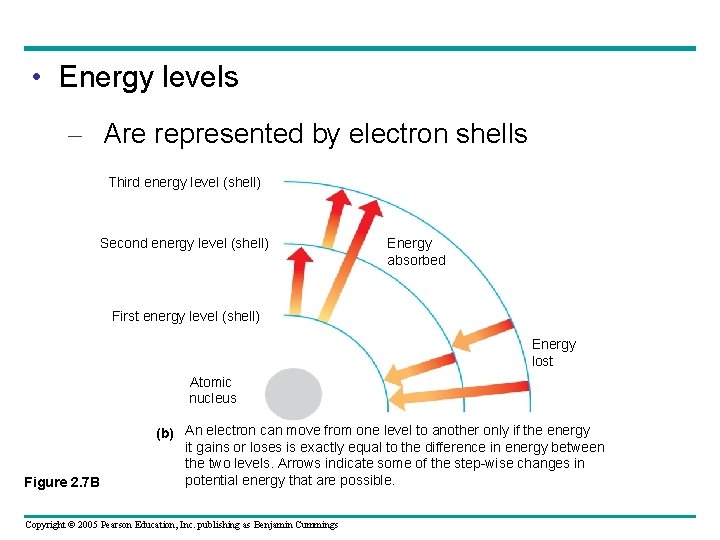  • Energy levels – Are represented by electron shells Third energy level (shell)