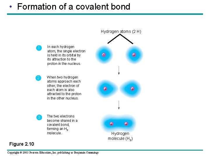 • Formation of a covalent bond Hydrogen atoms (2 H) 1 2 3