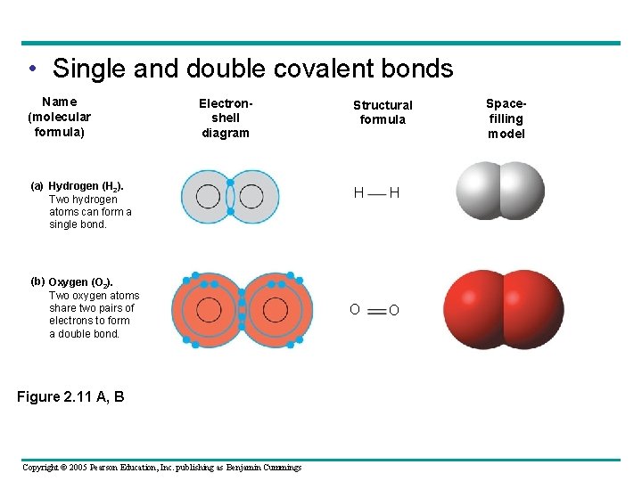  • Single and double covalent bonds Name (molecular formula) Electronshell diagram (a) Hydrogen