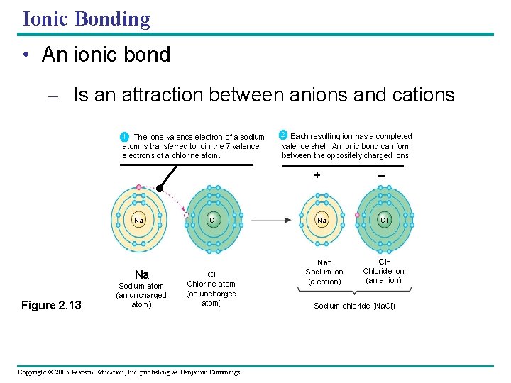 Ionic Bonding • An ionic bond – Is an attraction between anions and cations