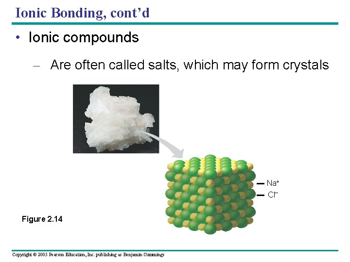 Ionic Bonding, cont’d • Ionic compounds – Are often called salts, which may form