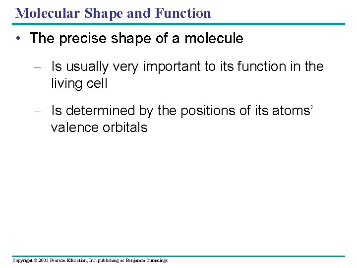 Molecular Shape and Function • The precise shape of a molecule – Is usually