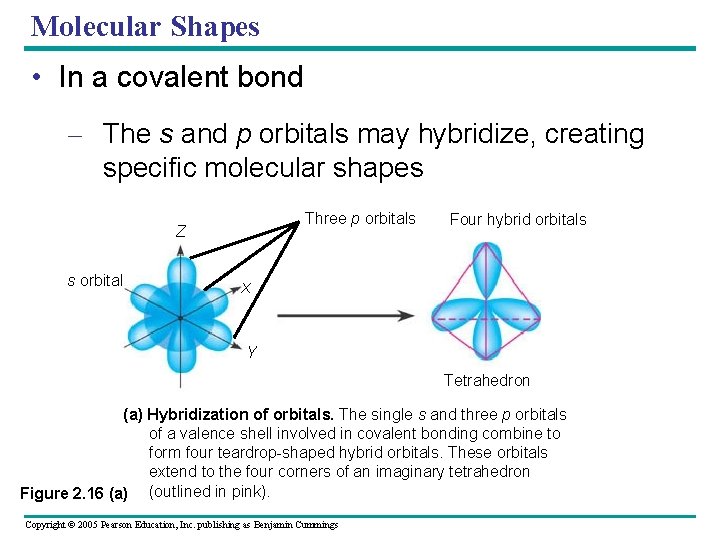 Molecular Shapes • In a covalent bond – The s and p orbitals may
