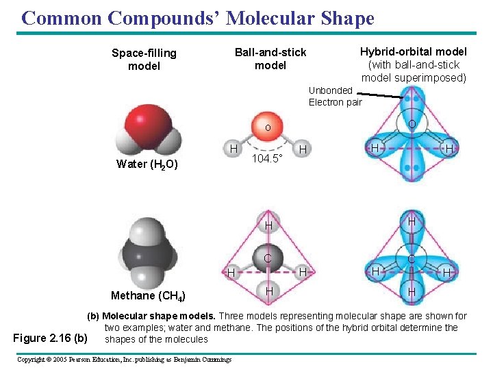 Common Compounds’ Molecular Shape Ball-and-stick model Space-filling model Hybrid-orbital model (with ball-and-stick model superimposed)