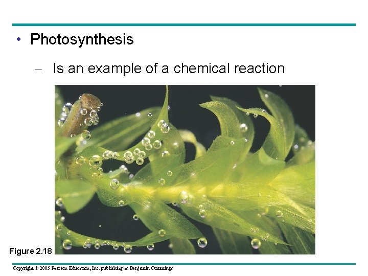  • Photosynthesis – Is an example of a chemical reaction Figure 2. 18
