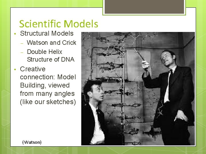 Scientific Models • Structural Models – – • Watson and Crick Double Helix Structure