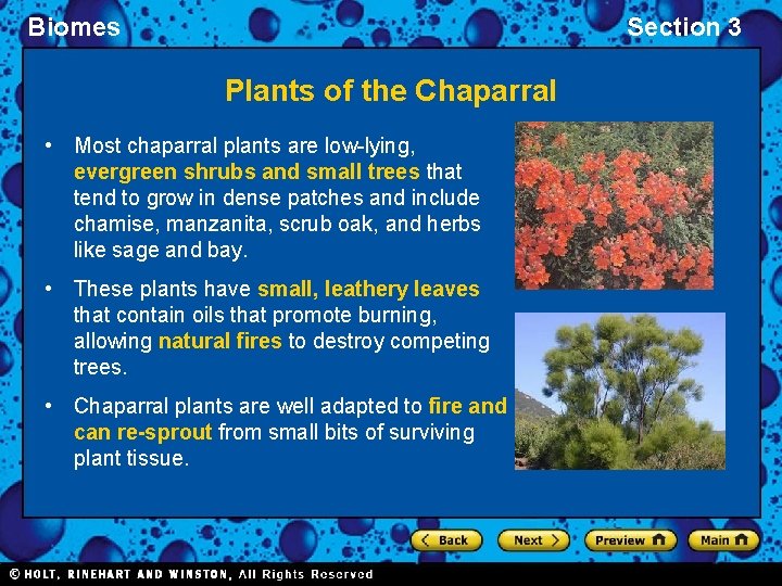 Biomes Section 3 Plants of the Chaparral • Most chaparral plants are low-lying, evergreen