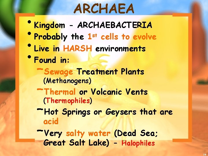 ARCHAEA • Kingdom - ARCHAEBACTERIA • Probably the 1 cells to evolve • Live