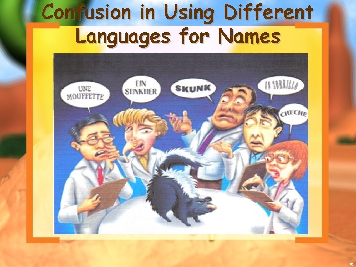 Confusion in Using Different Languages for Names 5 