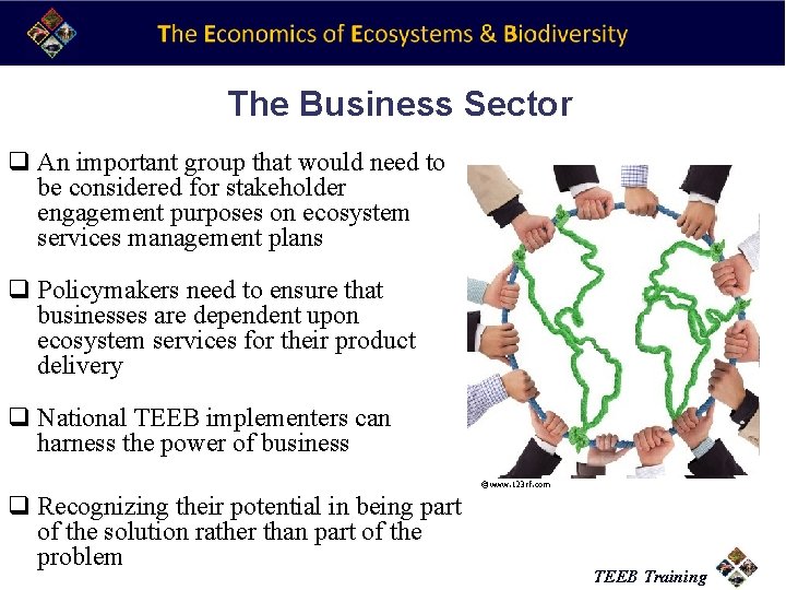 The Business Sector q An important group that would need to be considered for