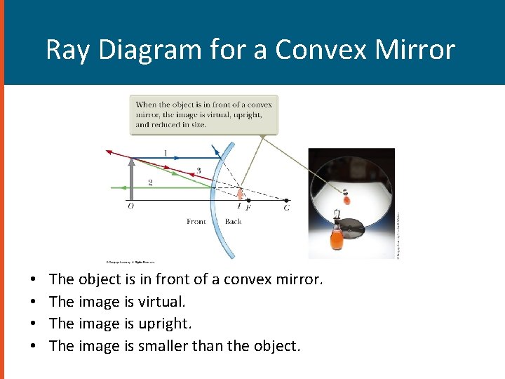 Ray Diagram for a Convex Mirror • • The object is in front of