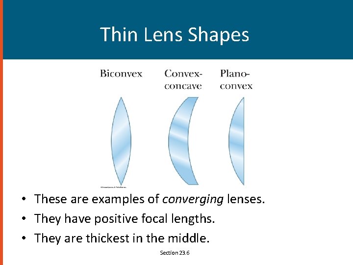 Thin Lens Shapes • These are examples of converging lenses. • They have positive
