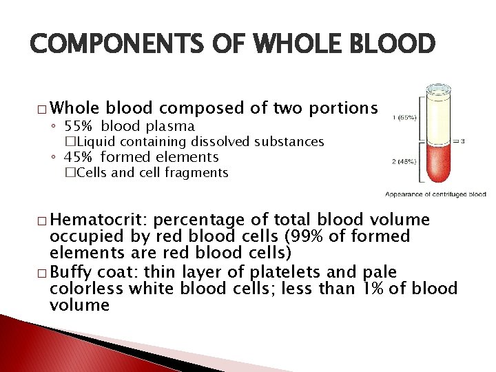 COMPONENTS OF WHOLE BLOOD � Whole blood composed of two portions ◦ 55% blood