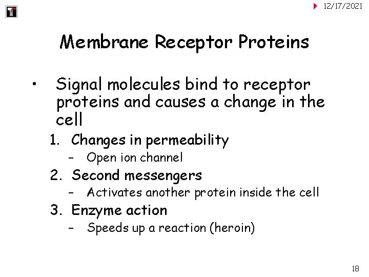 12/17/2021 Membrane Receptor Proteins • Signal molecules bind to receptor proteins and causes a