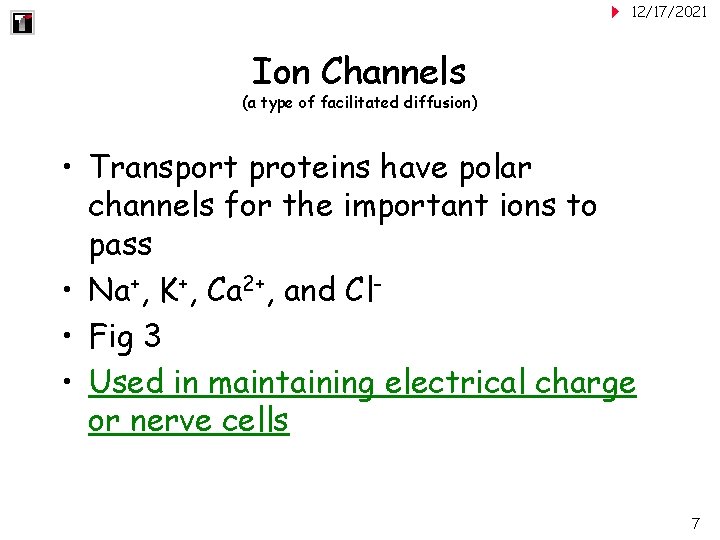 12/17/2021 Ion Channels (a type of facilitated diffusion) • Transport proteins have polar channels