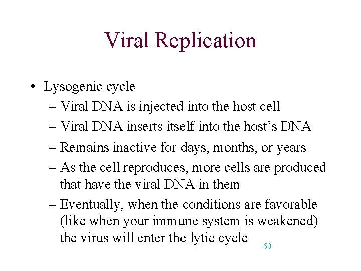 Viral Replication • Lysogenic cycle – Viral DNA is injected into the host cell