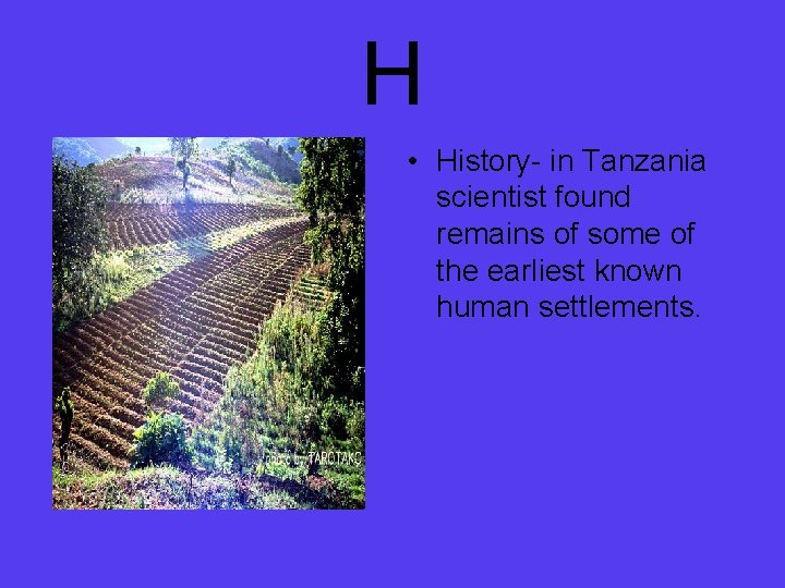 H • History- in Tanzania scientist found remains of some of the earliest known