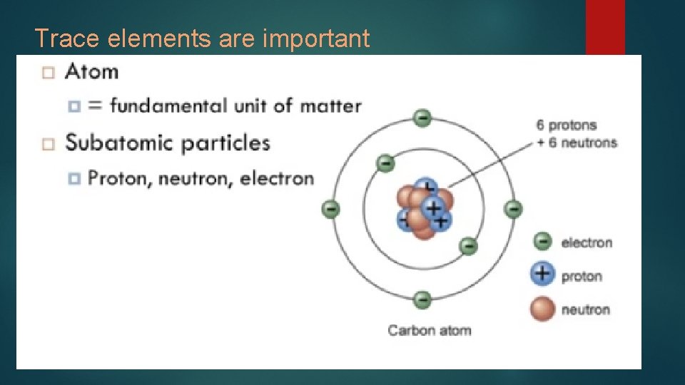 Trace elements are important 