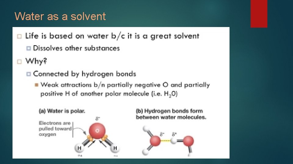 Water as a solvent 