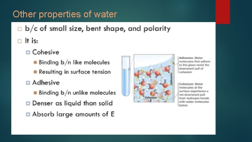 Other properties of water 