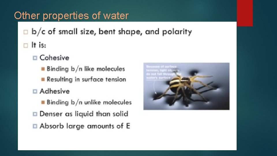 Other properties of water 